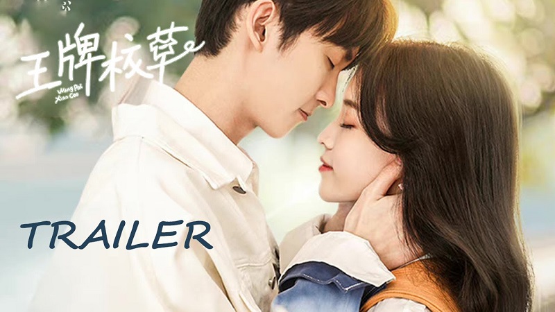 Nam Thần Số Một - Campus Ace (2022)